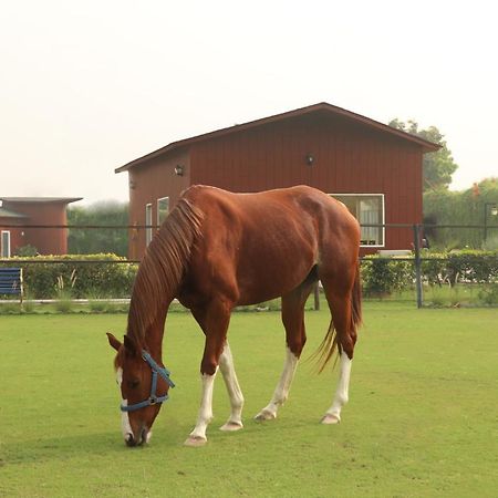 The Bageecha Bed & Breakfast Vrindavan Bagian luar foto